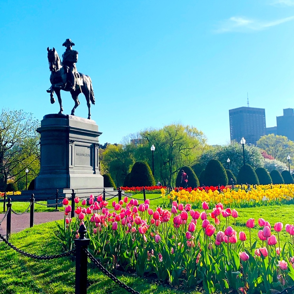 Meet your Posher, Migdalia